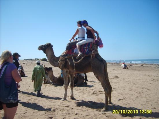 Promanade à dos de dromadaire sur la plage de Essaouira