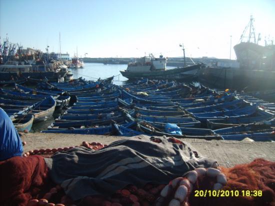 Le port de Essaouira