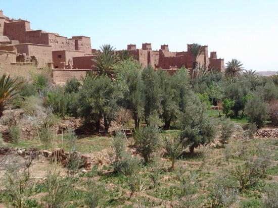 Ouarzazate 20